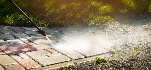 Best Sidewalk and Walkway Cleaning  in Cane Savannah, SC